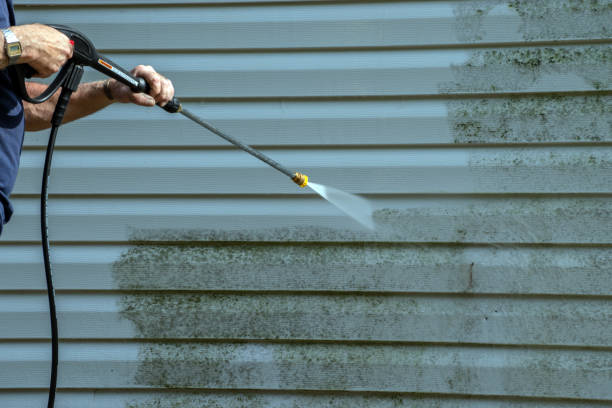 Best Driveway Pressure Washing  in Russells Point, OH